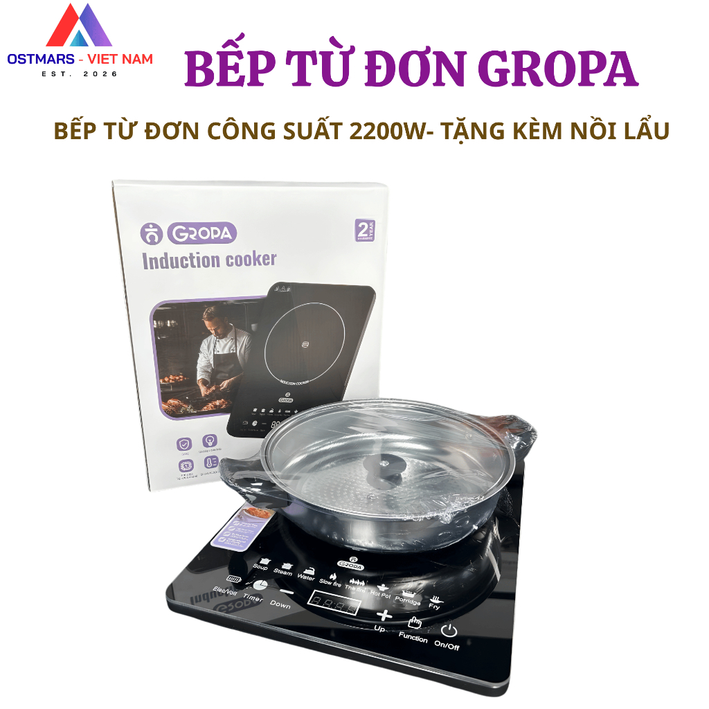 Bếp từ đơn Gropa – bếp từ